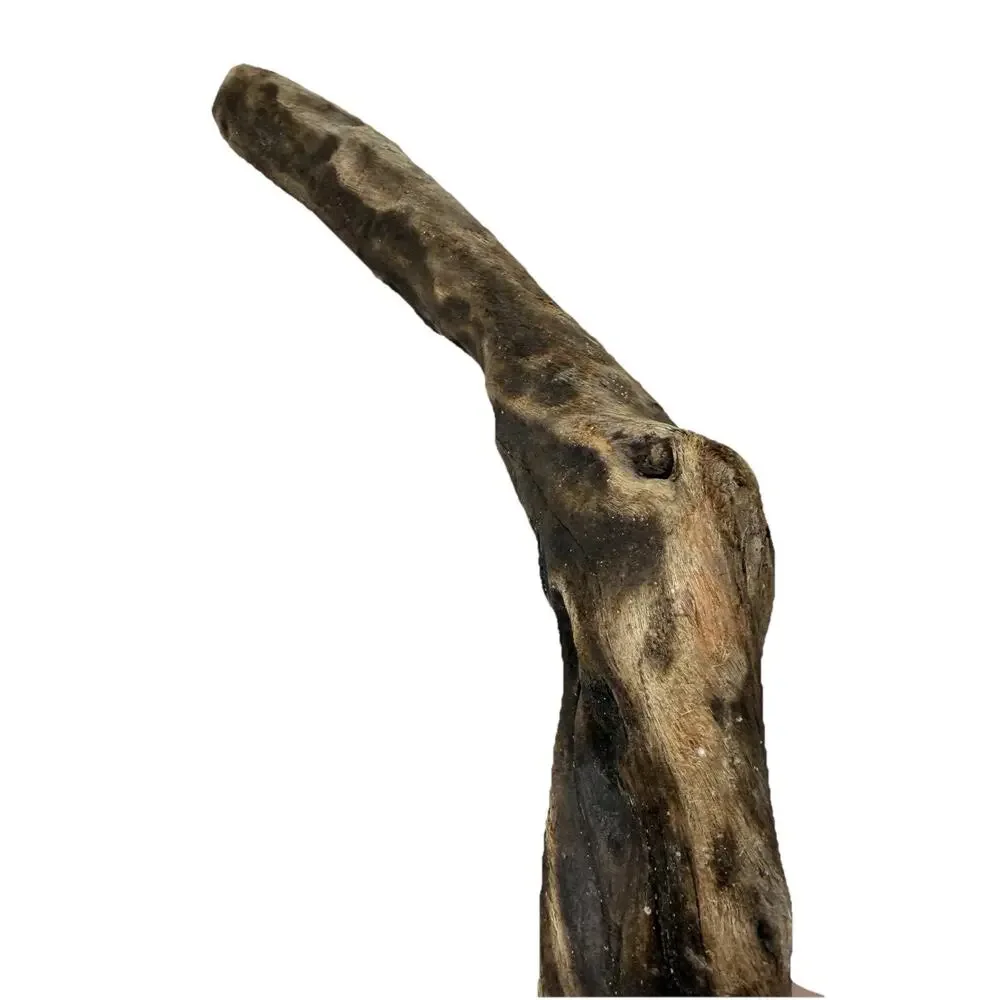 Bent California Driftwood with Burnt Patina & Natural Bend – Sculptural Wood